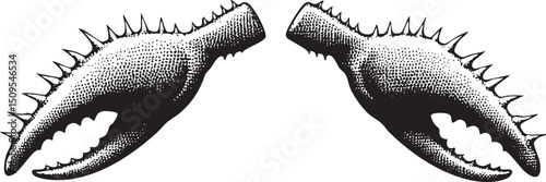 Two stark crab claws grasp against a white background.