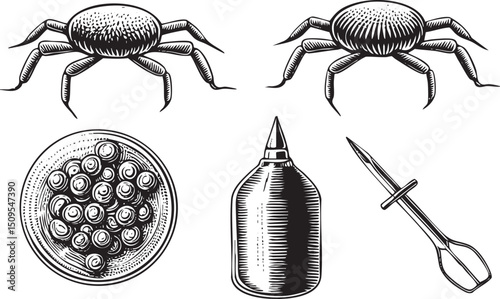 Two stylized spiders are depicted above a plate of olives and a condiment bottle.