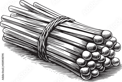 bundle of dry reeds is tightly bound with twine.