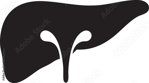 stylized black and white of a human liver.