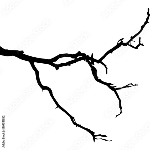 Halloween Branch Silhouette