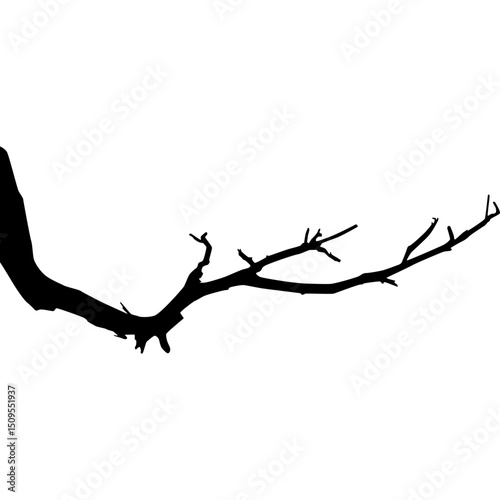 Halloween Branch Silhouette