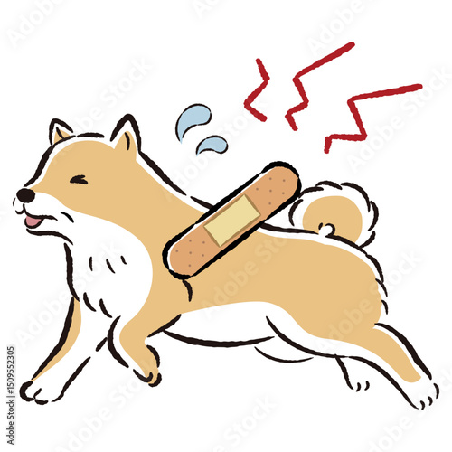 怪我をして困った表情のシニア犬のイラスト