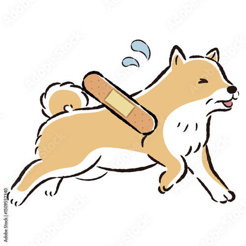 怪我をして困った表情のシニア犬のイラスト