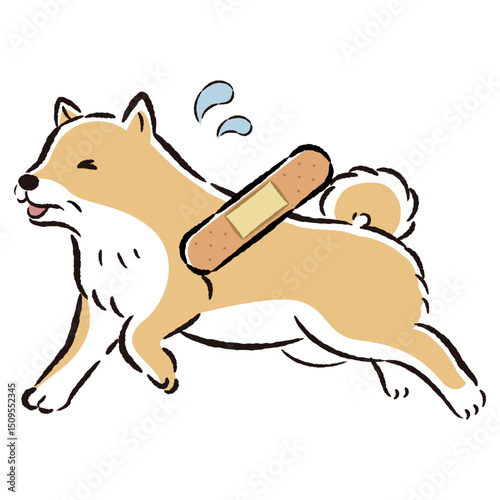 怪我をして困った表情のシニア犬のイラスト