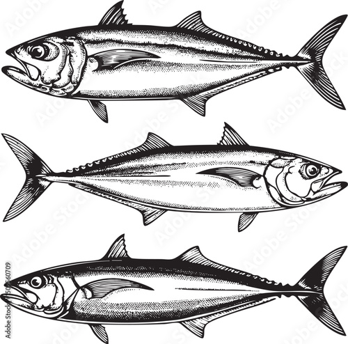 Three stylized black and white mackerel fish are depicted in a linear arrangement.