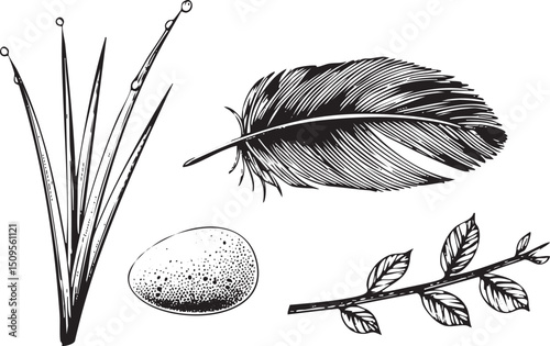 stylized features a quill pen a feather an egg and a branch.