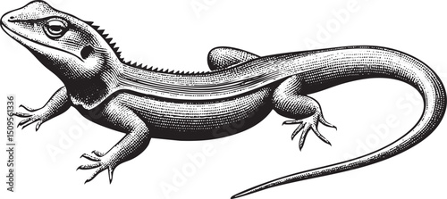 sleek lizard gracefully moves across a textured surface.