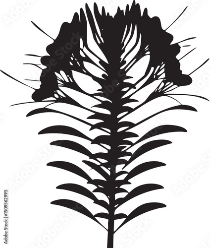 stark black silhouette of a fern frond against a white background.
