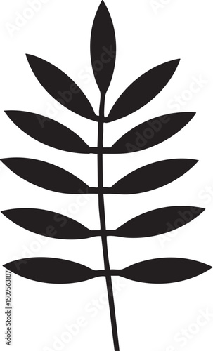 single black leaf gracefully extends from a slender light gray stem.