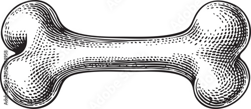 detailed black and white of a large bone.