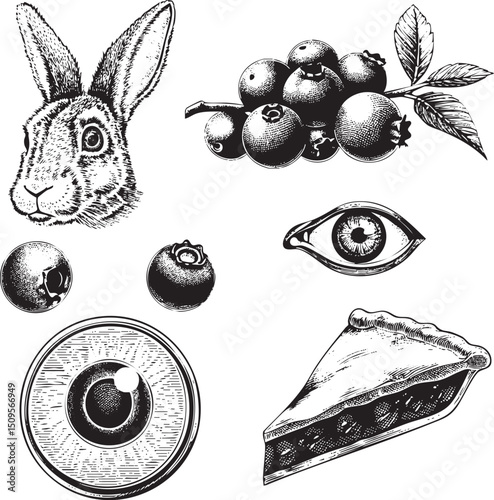 detailed black and white showcases a rabbit's head blueberries an eye blueberry spheres and a slice of pie.