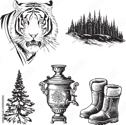 majestic tiger portrait stands against a backdrop of dense evergreen forest and snowy terrain.