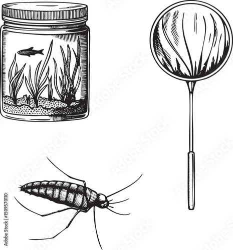 small fish swims within a clear glass jar containing aquatic plants.