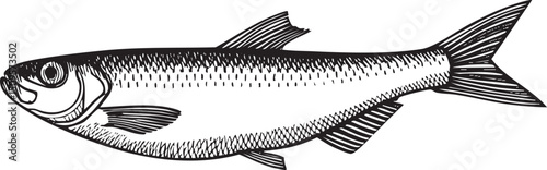sleek gray fish swims gracefully through clear water.