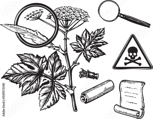 magnifying glass examines a flowering plant alongside warning symbols and botanical tools.