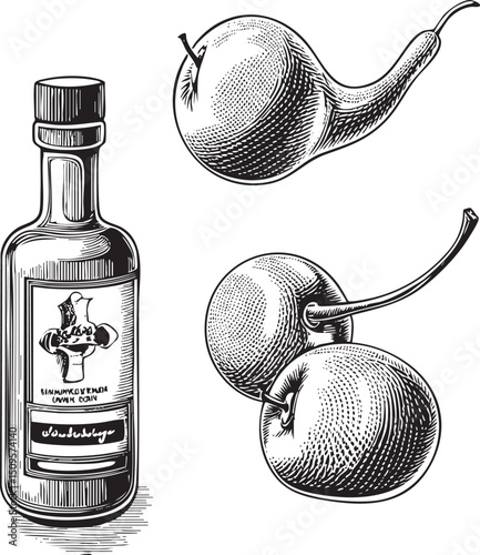 Two glass bottles containing plums are illustrated in a detailed black and white drawing.