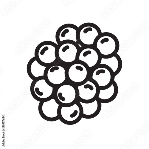 dense cluster of dark berries forms a rounded shape.