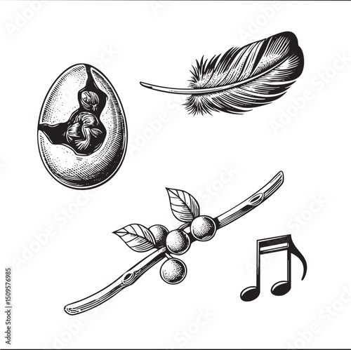 detailed engraving showcases a pit a feather coffee beans and musical notes.