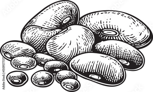 pile of dark brown and speckled white beans rests on a rustic surface.