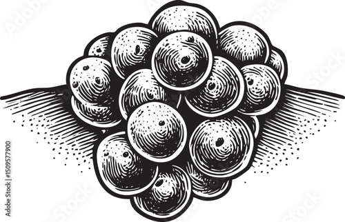 cluster of round textured orbs gathers on a dark surface.