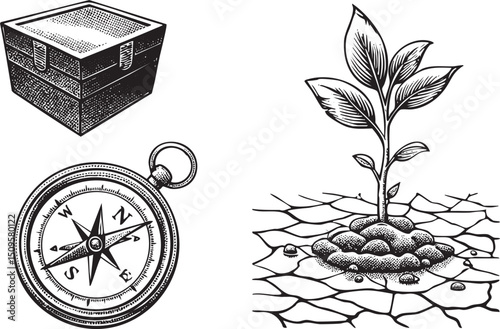 wooden chest a compass and a seedling represent exploration and growth.