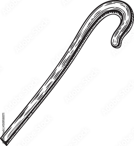 simple wooden walking stick rests vertically on a white background.