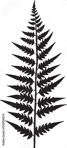 stark black silhouette of a fern frond against a white background.