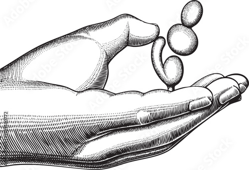 hand gently releases three coins into the air.