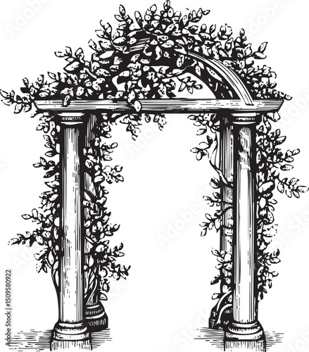 stone archway is adorned with lush green vines and foliage.