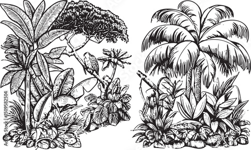 Two distinct tropical plants stand upright amidst lush foliage.