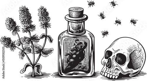 glass bottle contains a dark insect specimen surrounded by herbs and a skull.