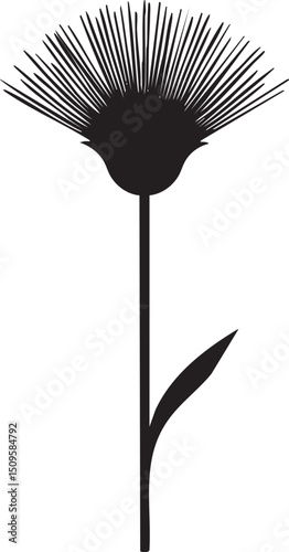 solitary flower stands tall against a white background.