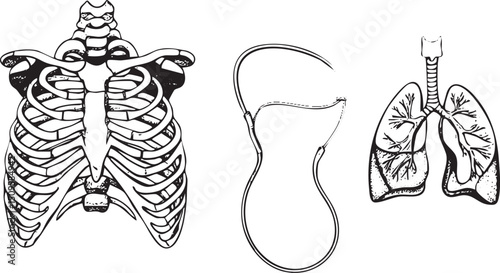 black and white depicts a human ribcage a surgical suture and a detailed anatomical representation of the lungs.