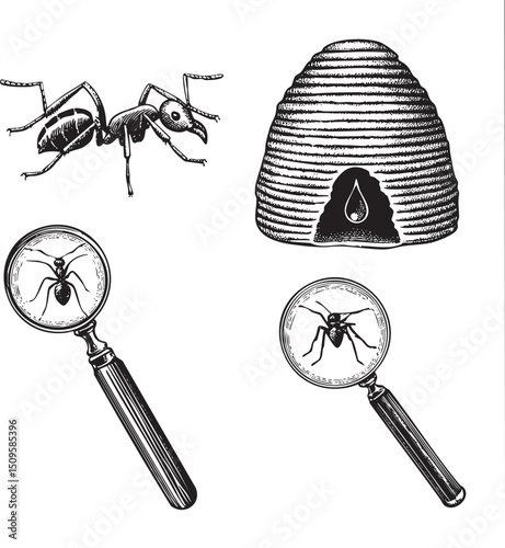 detailed showcases an ant examining a honeycomb with a magnifying glass.