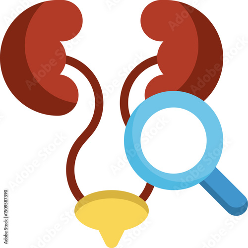 Kidneys being examined with a magnifying glass, suggesting medical diagnosis and healthcare in a clinical setting, symbolizing precision and care.