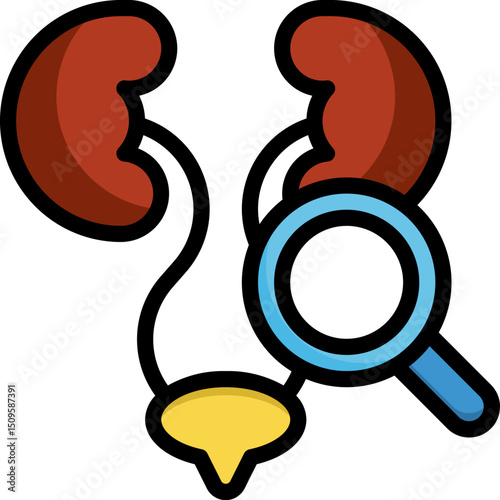 Kidneys being examined with magnifying glass, representing medical diagnosis and healthcare, symbolizing health and wellness.
