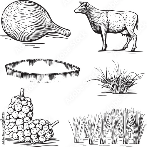stylized drawing depicts a large onion a deer standing near water and various grasses.