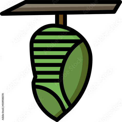 Green chrysalis hangs from a branch, showcasing the transformative stage of a butterfly's life cycle in nature, symbolizing hope and new beginnings.