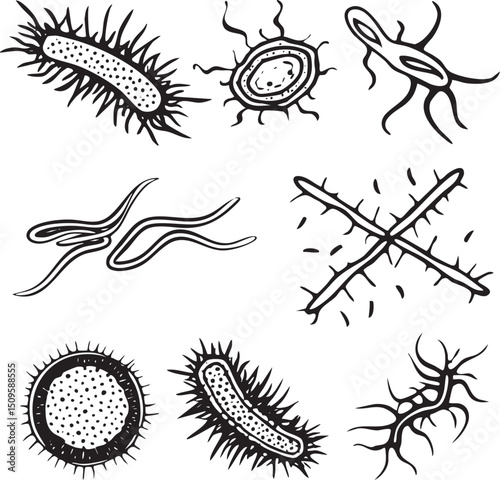 Nine stylized black and white illustrations of various microorganisms.