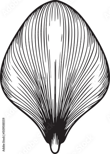 single detailed hot air balloon ascends gracefully.