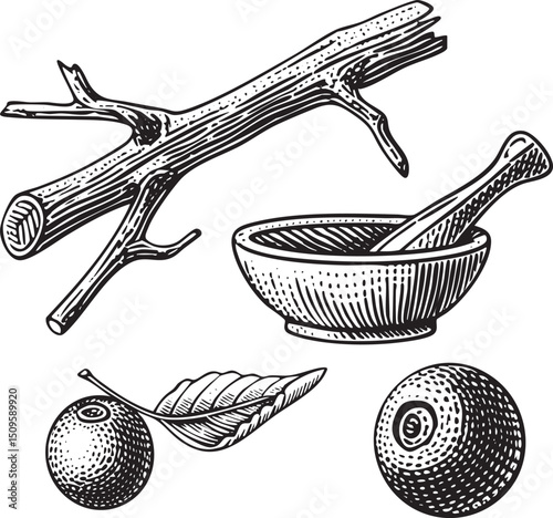 Three wooden branches a bowl and citrus fruits are arranged on a white background.