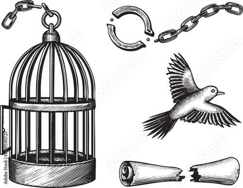 broken birdcage hangs alongside a chain and a soaring bird.