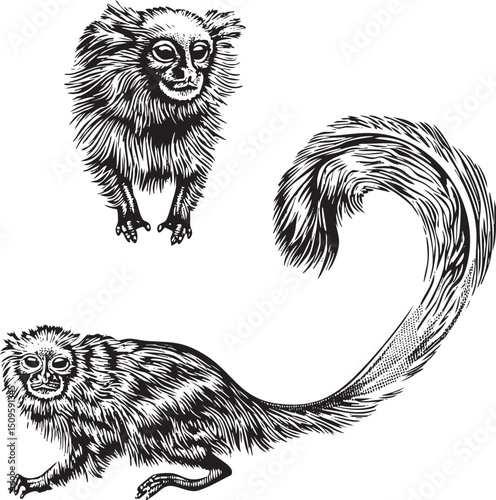 Two curious monkeys sit side-by-side on a textured surface.
