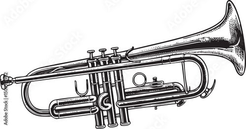 detailed black and white of a brass trumpet.