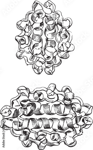Two circular interconnected ribbon-like forms create a complex geometric .