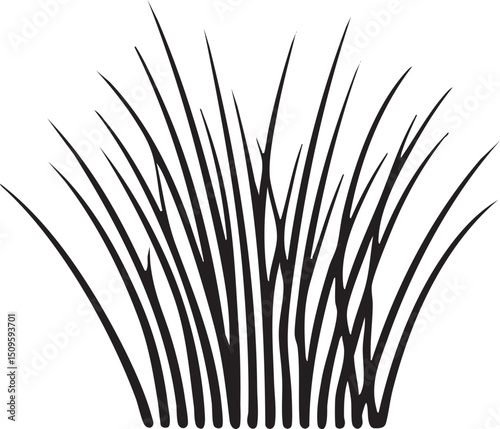 cluster of sharp dark blades of grass extends upwards from a horizontal .