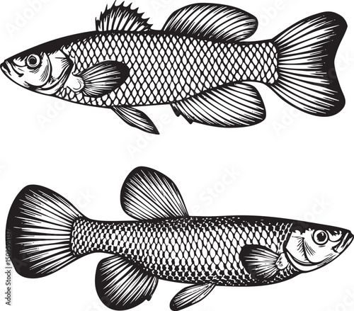 sleek fish swims gracefully through a dark watery space.