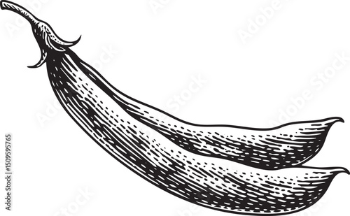 Two dark green pea pods curve gracefully against a white background.