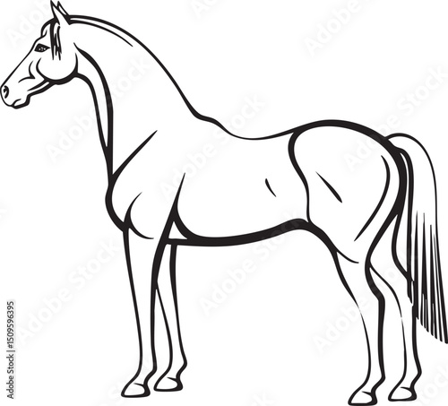 black and white outline drawing of a standing horse.
